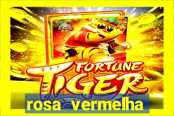 rosa vermelha (letra e cifra)